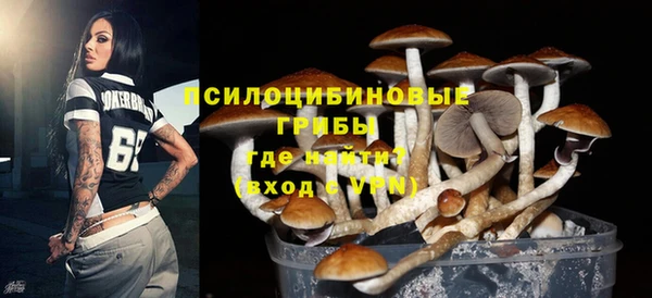 тгк Карталы